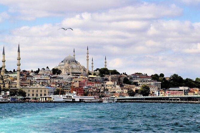Bosphorus Morning, Afternoon & Sunset Cruise - Afternoon Cruising Along the Waterway