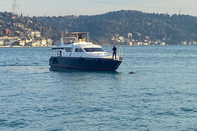 Bosphorus Private 1-Hour Tour on the Boat in Istanbul - Bosphorus Sights and Attractions