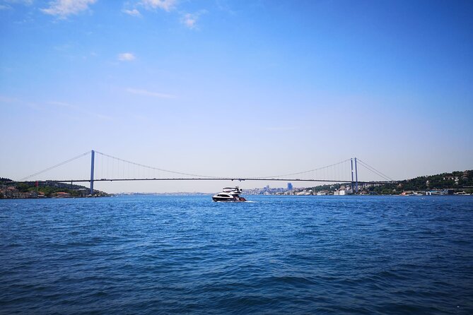 Bosphorus Private 1-Hour Tour on the Boat in Istanbul - Exploring Istanbuls Waterways