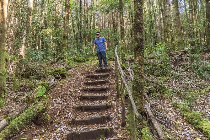 Bosque Piedra Reserve Tour - Pickup Information