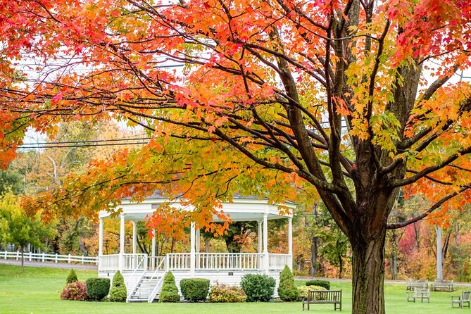Boston Cambridge Lexington and Concord Private Day Tour - Discovering History