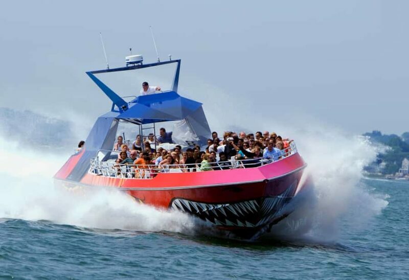 Boston: City Cruises Harbor Codzilla High Speed Thrill Boat - Key Points