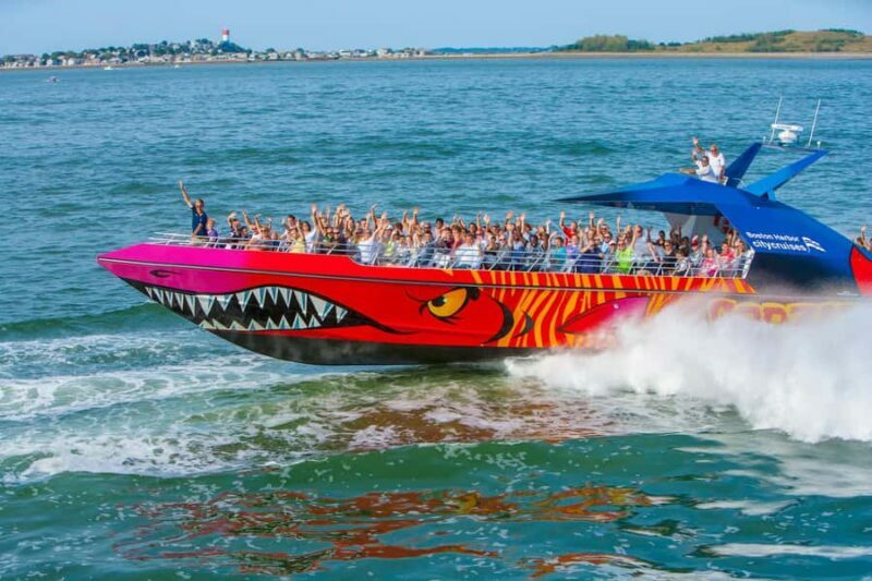 Boston: City Cruises Harbor Codzilla High Speed Thrill Boat - The Sum Up
