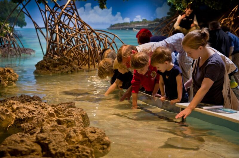 Boston CityPASS®: Save 45% at 4 Top Attractions - Reservation and Ticketing
