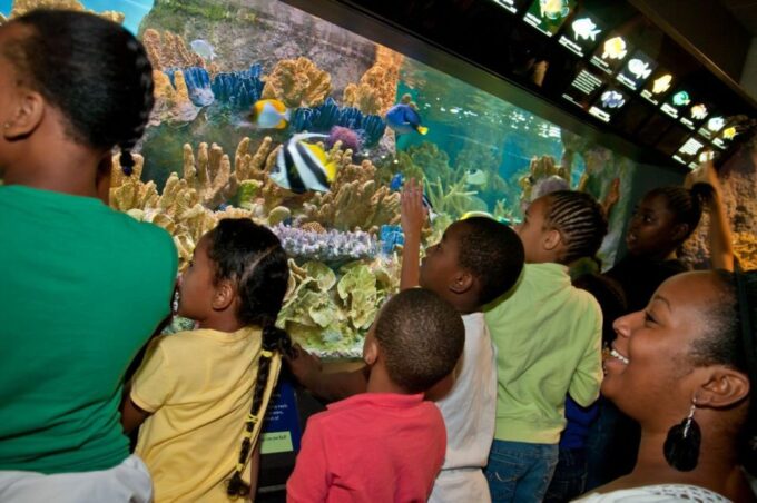 Boston CityPASS®: Save 45% at 4 Top Attractions - Customer Reviews and Satisfaction