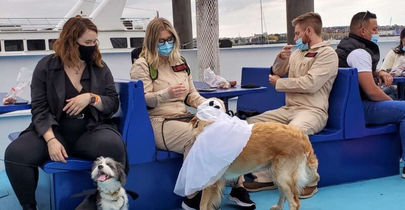 Boston: Dog-Friendly Halloween Costume & Sightseeing Cruise - Experience Highlights