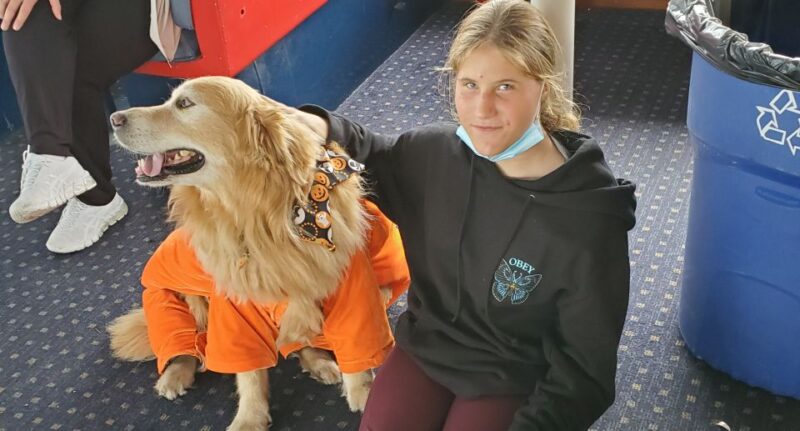 Boston: Dog-Friendly Halloween Costume & Sightseeing Cruise - Accessibility and Location