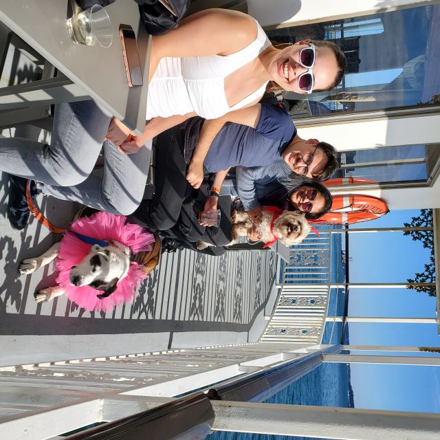 Boston: Dog-Friendly Halloween Costume & Sightseeing Cruise - Safety and Regulations