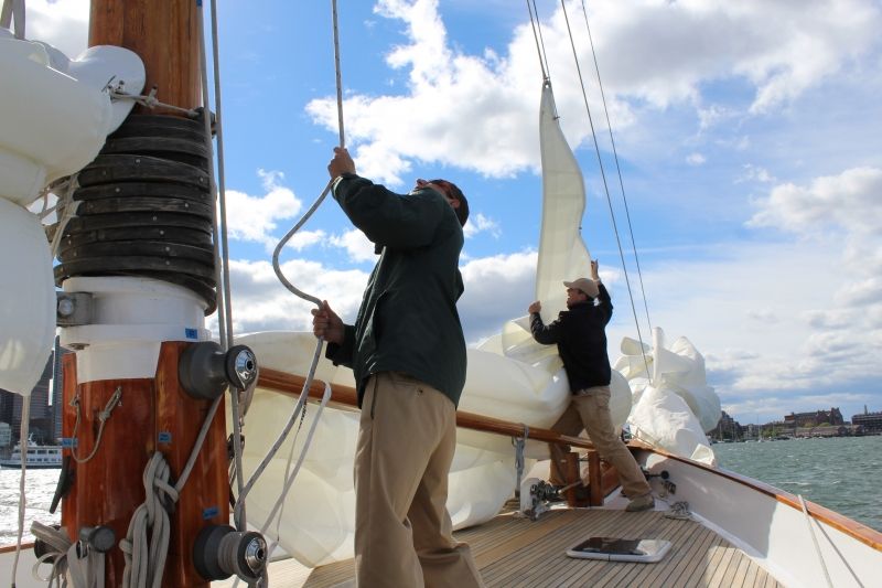 Boston: Downtown Harbor Sailing Cruise - Customer Feedback
