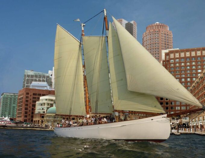 Boston: Downtown Harbor Sailing Cruise - Boarding Pass Requirements