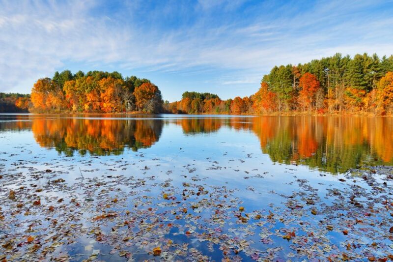 Boston Harbor Fall Foliage Weekend Brunch Cruise - Meeting Point and Logistics