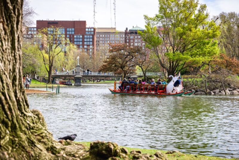 Boston History and Freedom Trail Private Walking Tour - Guided Experience