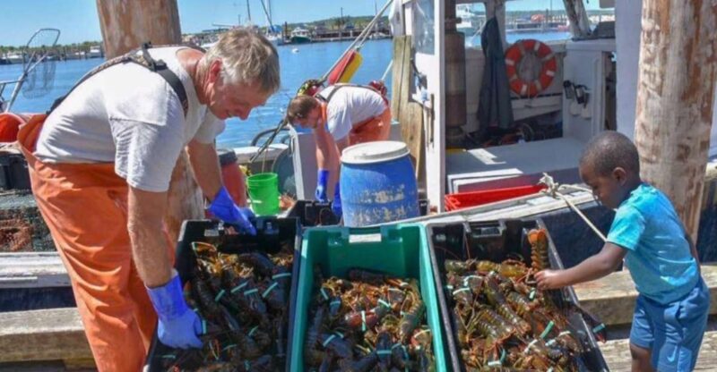 Boston: Kennebunkport Day Trip With Optional Lobster Tour - Itinerary and Experience