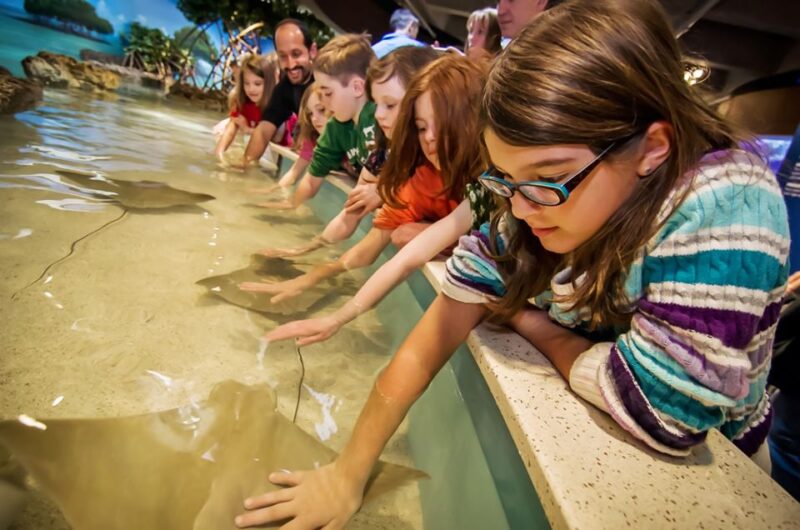 Boston: New England Aquarium Skip-the-Line Entry Ticket - Key Points