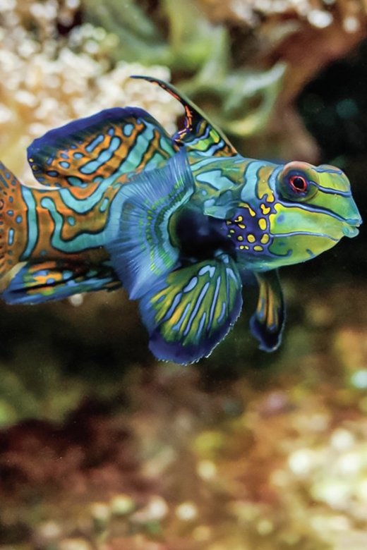 Boston: New England Aquarium Skip-the-Line Entry Ticket - Visitor Experience and Accessibility