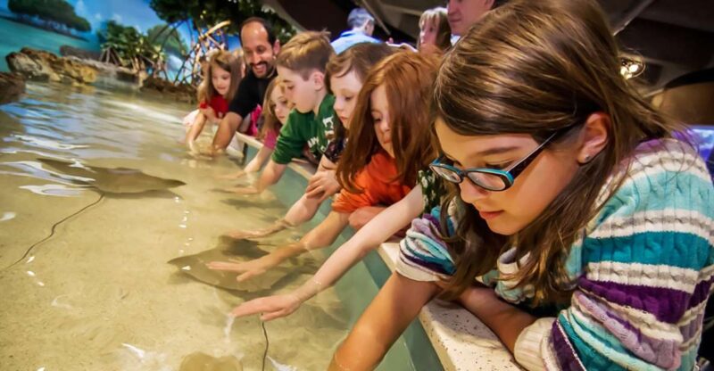 Boston: New England Aquarium Skip-the-Line Entry Ticket - Customer Feedback and Ratings