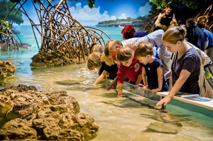 Boston: New England Aquarium Skip-the-Line Entry Ticket - Marine Life and Conservation