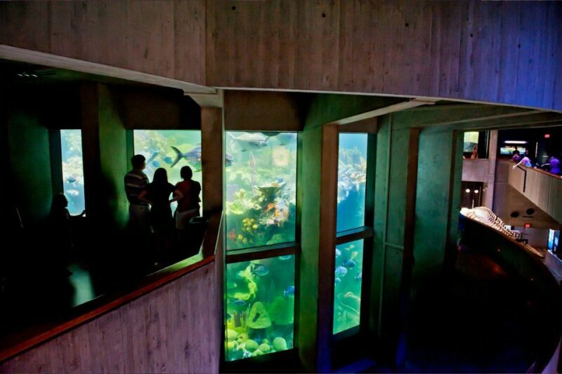 Boston Pass: Save up to 50% - Includes Franklin Park Zoo - Who Should Consider the Boston Pass?