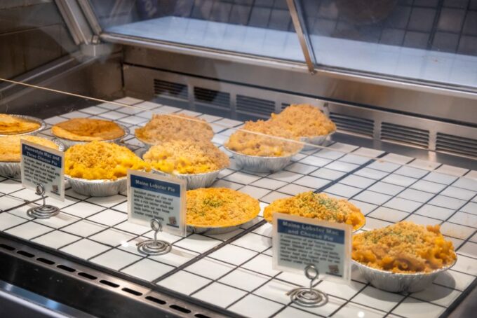 Boston: Seafood, History & Highlights Day Tour - Booking Information