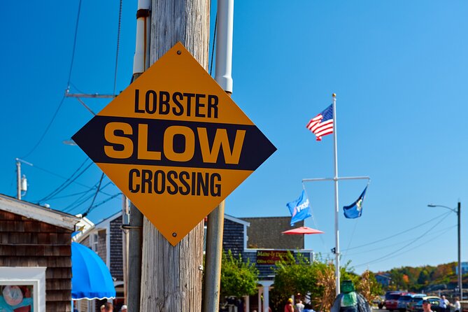 Boston to Coastal Maine & Kennebunkport Guided Daytrip With Trolley Tour - Considerations for Physical Fitness Level
