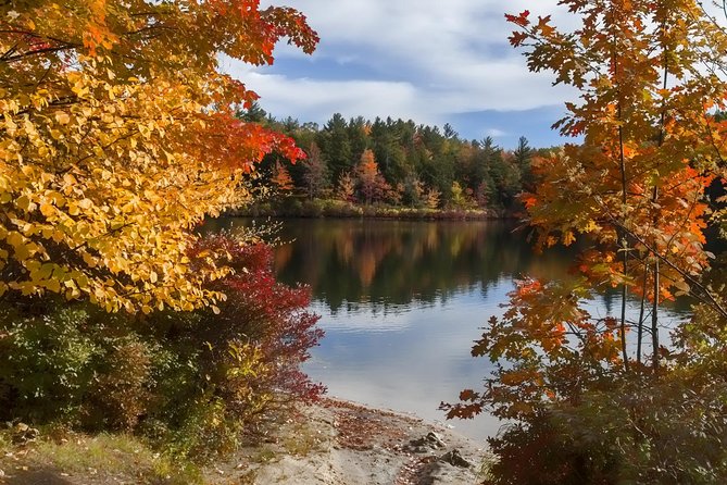 Boston to New Hampshire Fall Foliage White Mountains Day Trip - Scenic Viewing Points Overlooked by Tourists