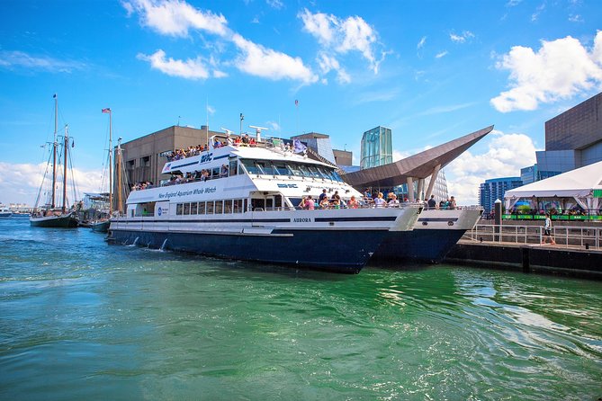 Boston Whale Watching Cruise by High-Speed Catamaran - Meeting Point and Directions