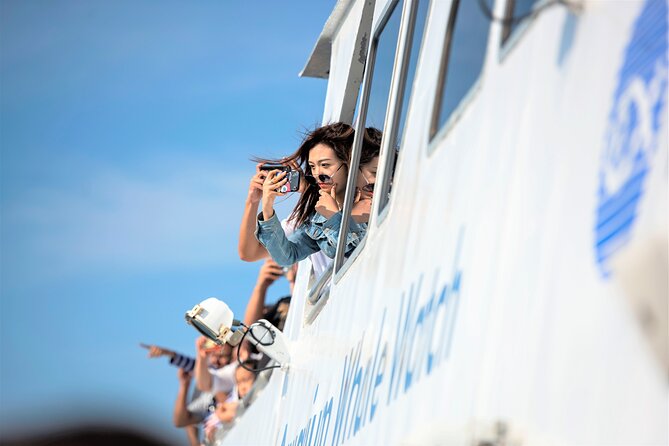 Boston Whale Watching Cruise by High-Speed Catamaran - Duration and Capacity