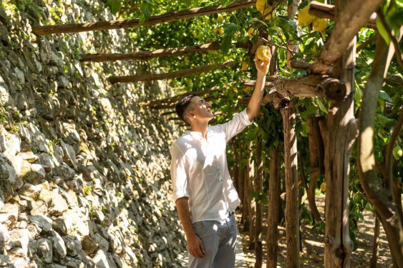 Botanic Naturalistic Lemon Tour & Tasting - Pricing and Booking