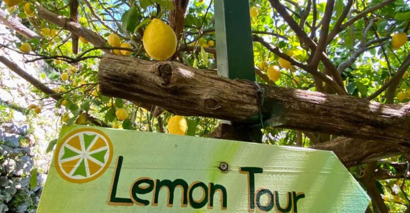 Botanic Naturalistic Lemon Tour & Tasting - Meeting Point and Attire