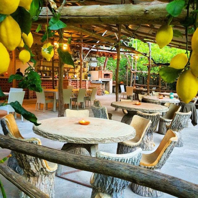 Botanic Naturalistic Lemon Tour & Tasting - Safety Regulations