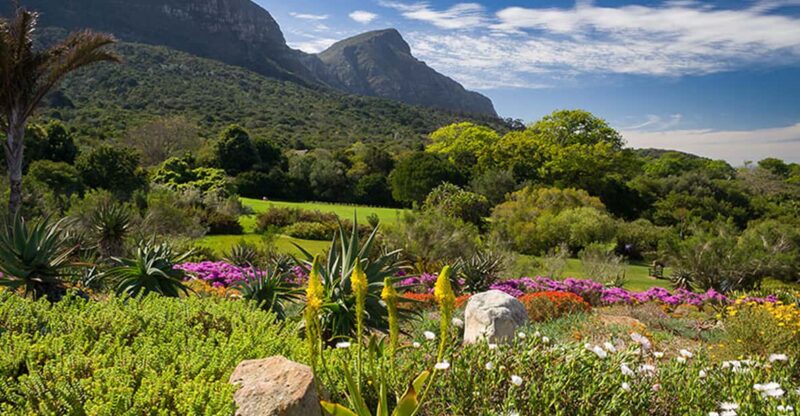 Botanical Garden and Groot Constantia Wineries Private Tour - Key Points