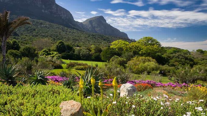 Botanical Garden and Groot Constantia Wineries Private Tour - Hout Bay Seal Island and Camps Bay Beach