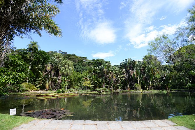 Botanical Garden and Parque Lage Private Tour With a Photographer - Tour Inclusions and Exclusions