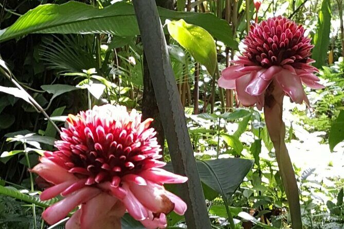 Botanical Garden Exploration - Key Points