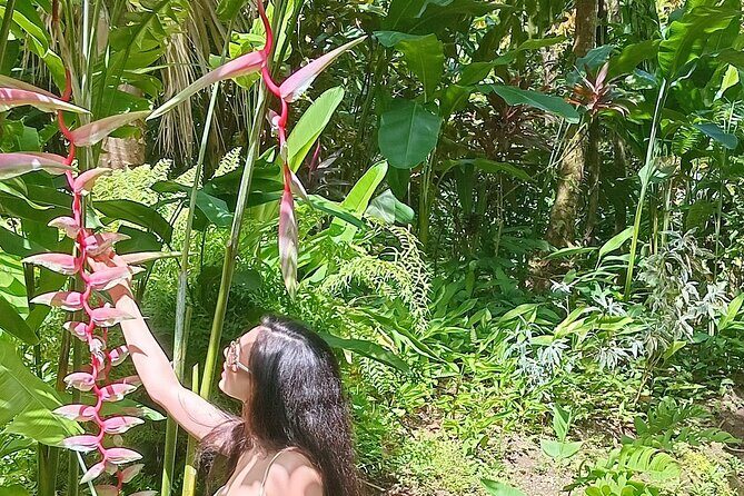 Botanical Garden Exploration - An Overview of the Tour Experience