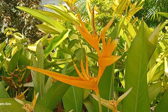 Botanical Garden Exploration - Why Choose This Tour?