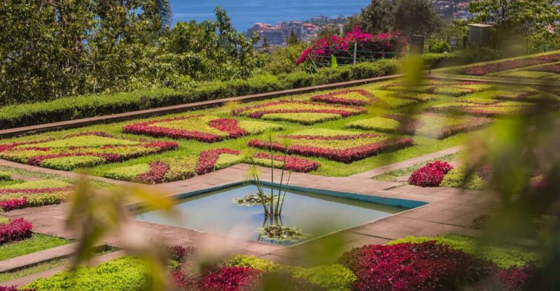 Botanical Garden & Funchal Old Town Private Tuk Tuk Tour - Tour Overview