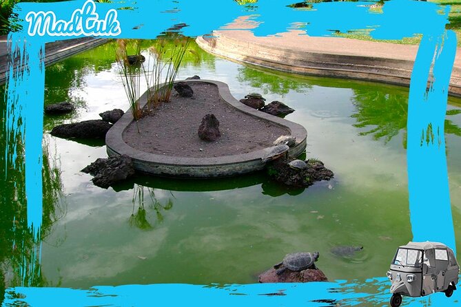 Botanical Gardens Tuk-Tuk Tour - What to Expect