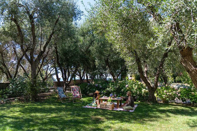 Botanical Picnic in a Historical Garden in the Heart of Sorrento - Lunch and Amenities