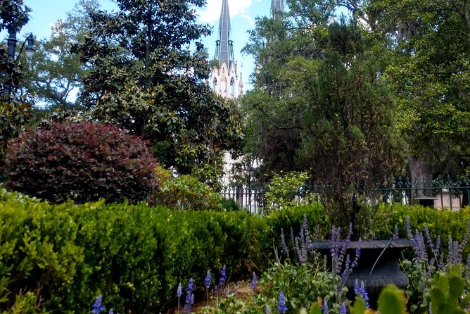 Botanical Tour (by Walk With Me Savannah Tours) - Navigating the Botanical Tour Experience