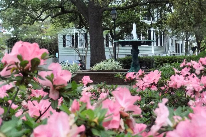 Botanical Tour (by Walk With Me Savannah Tours) - Accessibility and Tour Accommodations