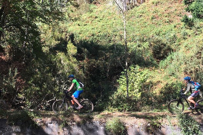 Botanical Trails of Madeira. Mountain Biking Trail Experience - Traversing Historic Water Channels