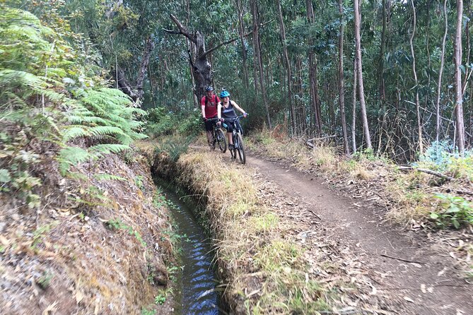 Botanical Trails of Madeira. Mountain Biking Trail Experience - Adventure for All Skill Levels