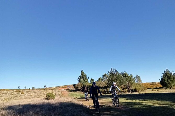 Botanical Trails of Madeira. Mountain Biking Trail Experience - Guided Mountain Biking Tour