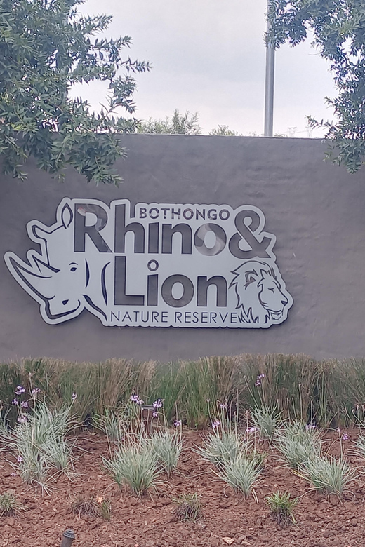 Bothongo Rhino and Lion Park and Wonder Caves - Wildlife Experience