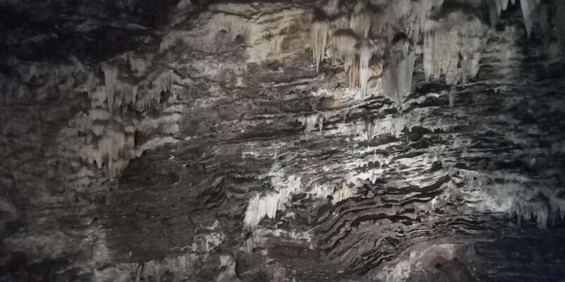 Bothongo Rhino and Lion Park and Wonder Caves - Inclusions and Exclusions