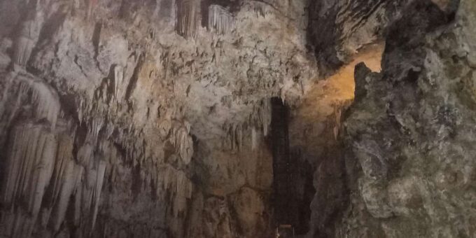 Bothongo Rhino and Lion Park and Wonder Caves - Cancellation and Booking