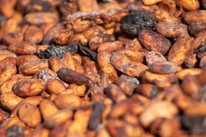 Boti Falls & Aburi Botanical Gardens Experience - Key Points