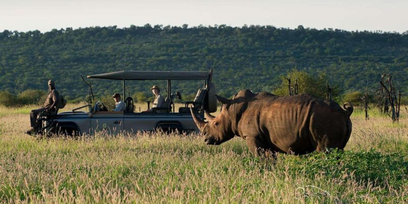 Botswana, South Africa & Victoria Falls - Breathtaking Safari Experiences