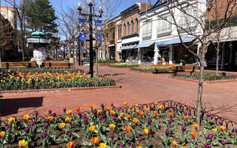 Boulder: City Highlights Private Walking Tour With Guide - Tour Experience
